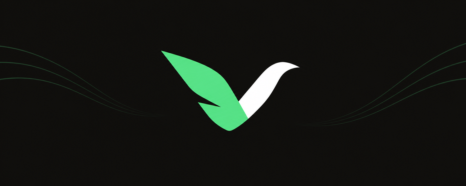 Text-free Voli banner in a 5 to 2 ratio